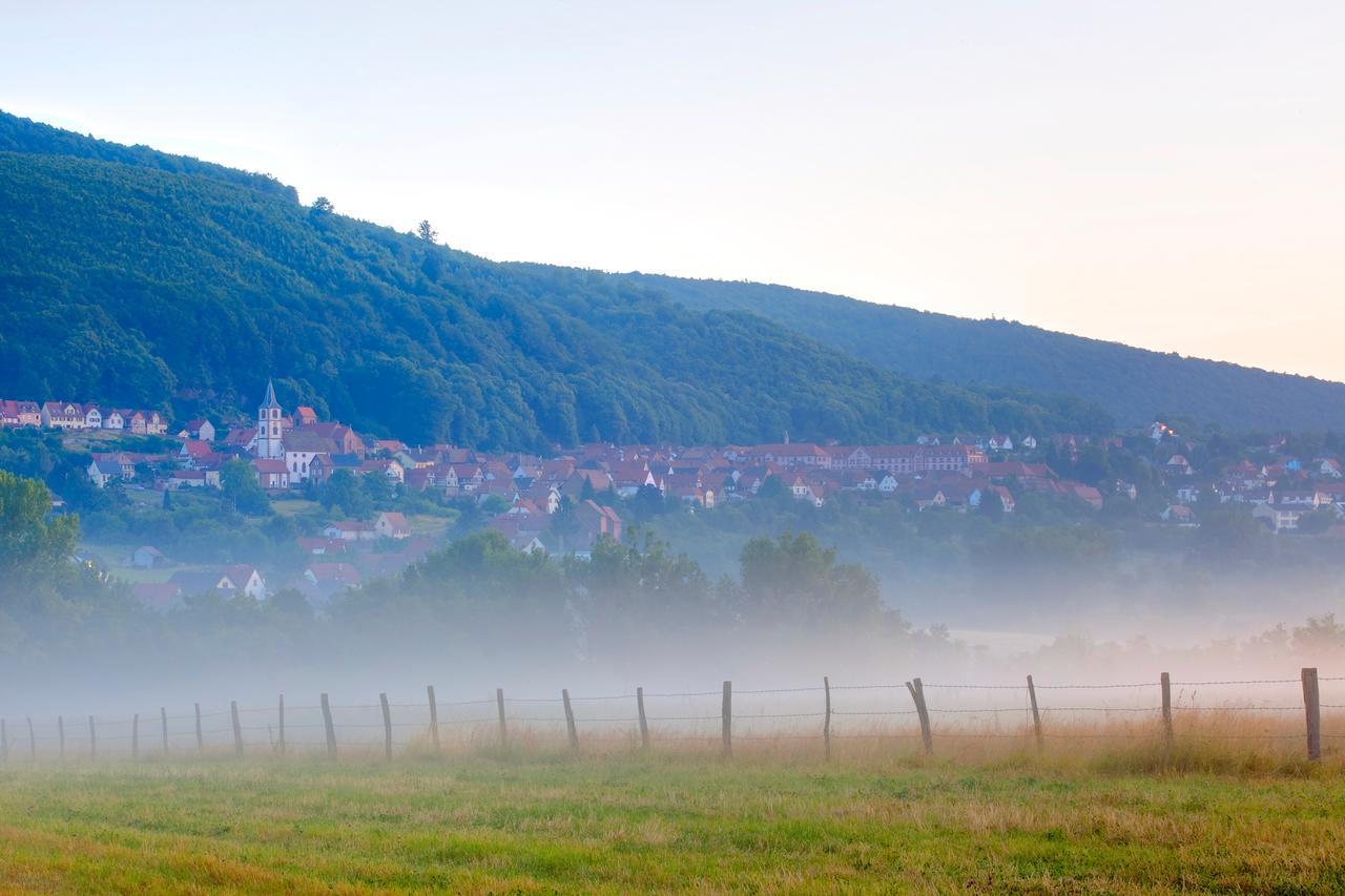 Hotellerie Du Couvent Oberbronn Dış mekan fotoğraf