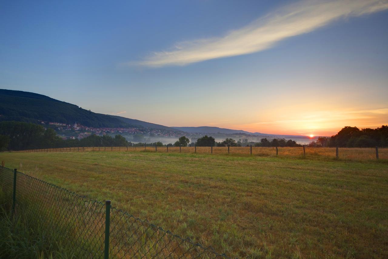 Hotellerie Du Couvent Oberbronn Dış mekan fotoğraf